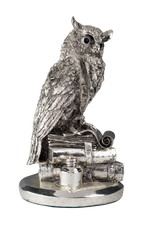 Load image into Gallery viewer, Owl on Book