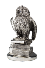 Load image into Gallery viewer, Owl on Book