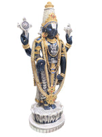 Load image into Gallery viewer, LOTUS BALAJI- BLACK TONE