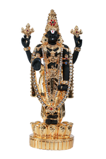 Load image into Gallery viewer, LOTUS BALAJI- BLACK TONE