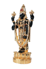 Load image into Gallery viewer, LOTUS BALAJI- BLACK TONE