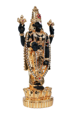 Load image into Gallery viewer, LOTUS BALAJI- BLACK TONE