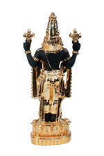 Load image into Gallery viewer, LOTUS BALAJI- BLACK TONE