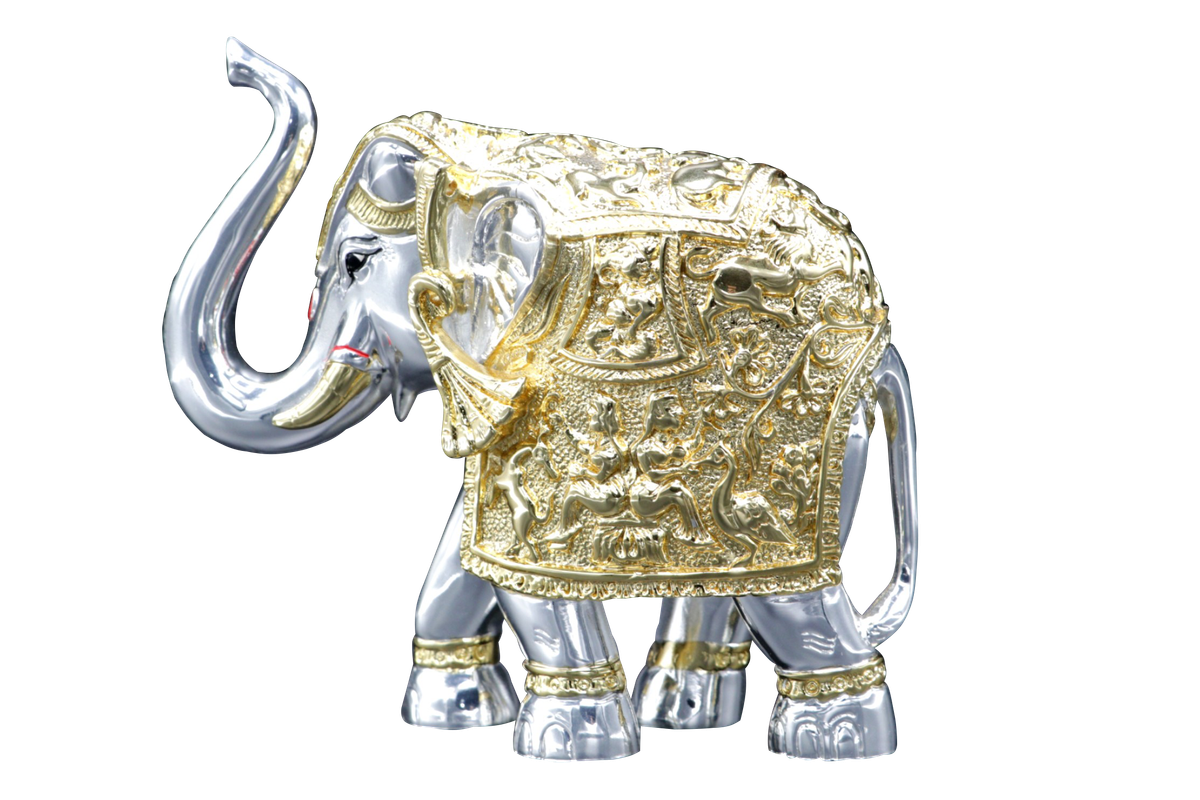 その他 PRE-ASSEMBLEDCOLLECTION BRAHMAN ELEPHAN その他 PRE-ASSEMBLEDCOLLECTION BRAHMAN ELEPHAN その他 PRE