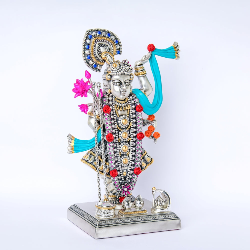 LORD SHRINATH JI Idol  SMALL