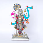 Load image into Gallery viewer, LORD SHRINATH JI Idol  SMALL
