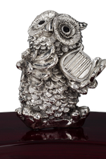 Load image into Gallery viewer, Silver Musical owl set
