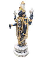 Load image into Gallery viewer, LOTUS BALAJI- BLACK TONE
