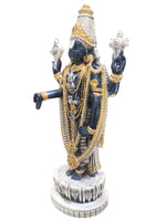 Load image into Gallery viewer, LOTUS BALAJI-BLACK ENEMELED